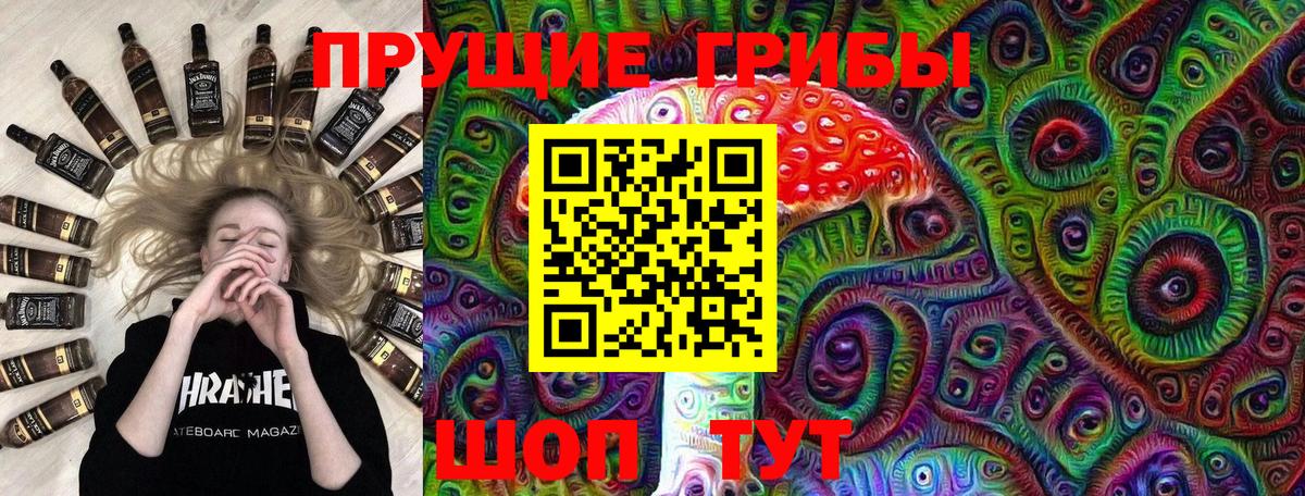Псилоцибиновые грибы мицелий Шахты