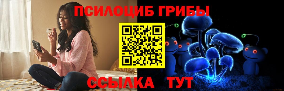 Галлюциногенные грибы Cubensis  Псилоцибиновые грибы Psilocybine cubensis  Шахты  Вход с VPN 